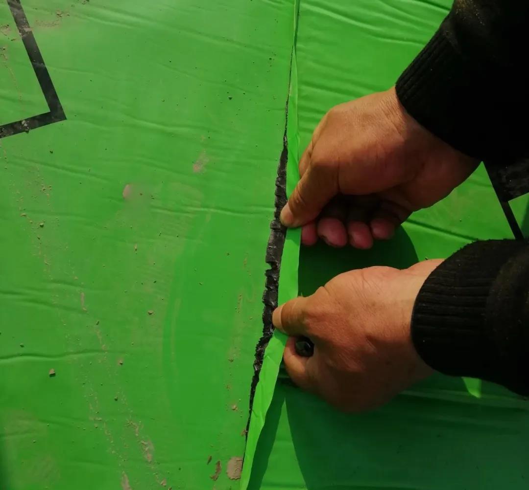 1617673595592454ztfa.jpg 1617673595592454ztfa.jpg