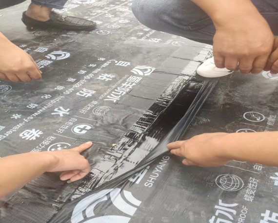 1660524136264138E4dE.png 8.png