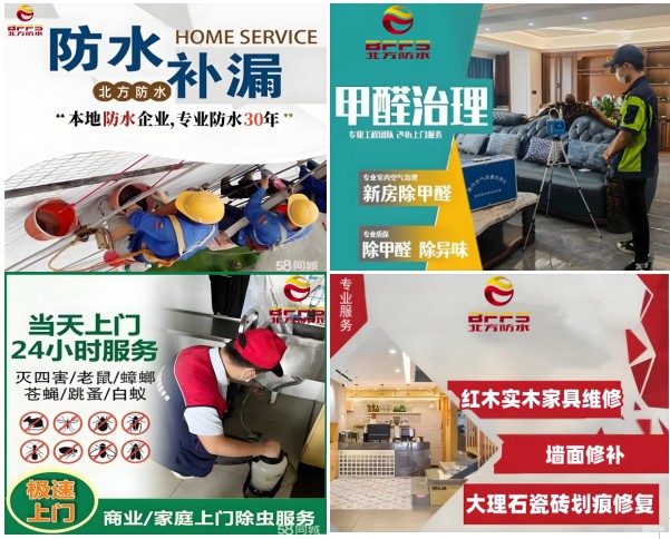 17332971912058779bEd.jpg 1733296949513.jpg